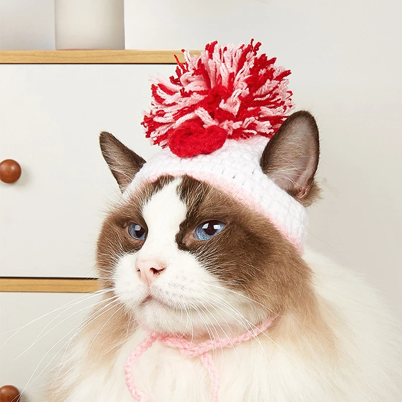 Pet Supplies Amazon - Factory direct sales pet knitted hat