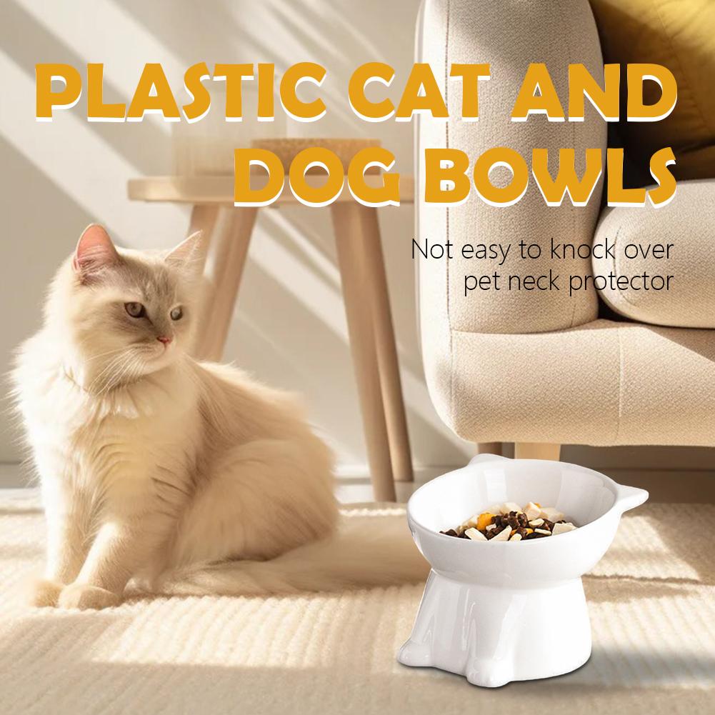 Black Cat Bowl Amazon Plastic  - Pet Supplies Amazon recension och pris