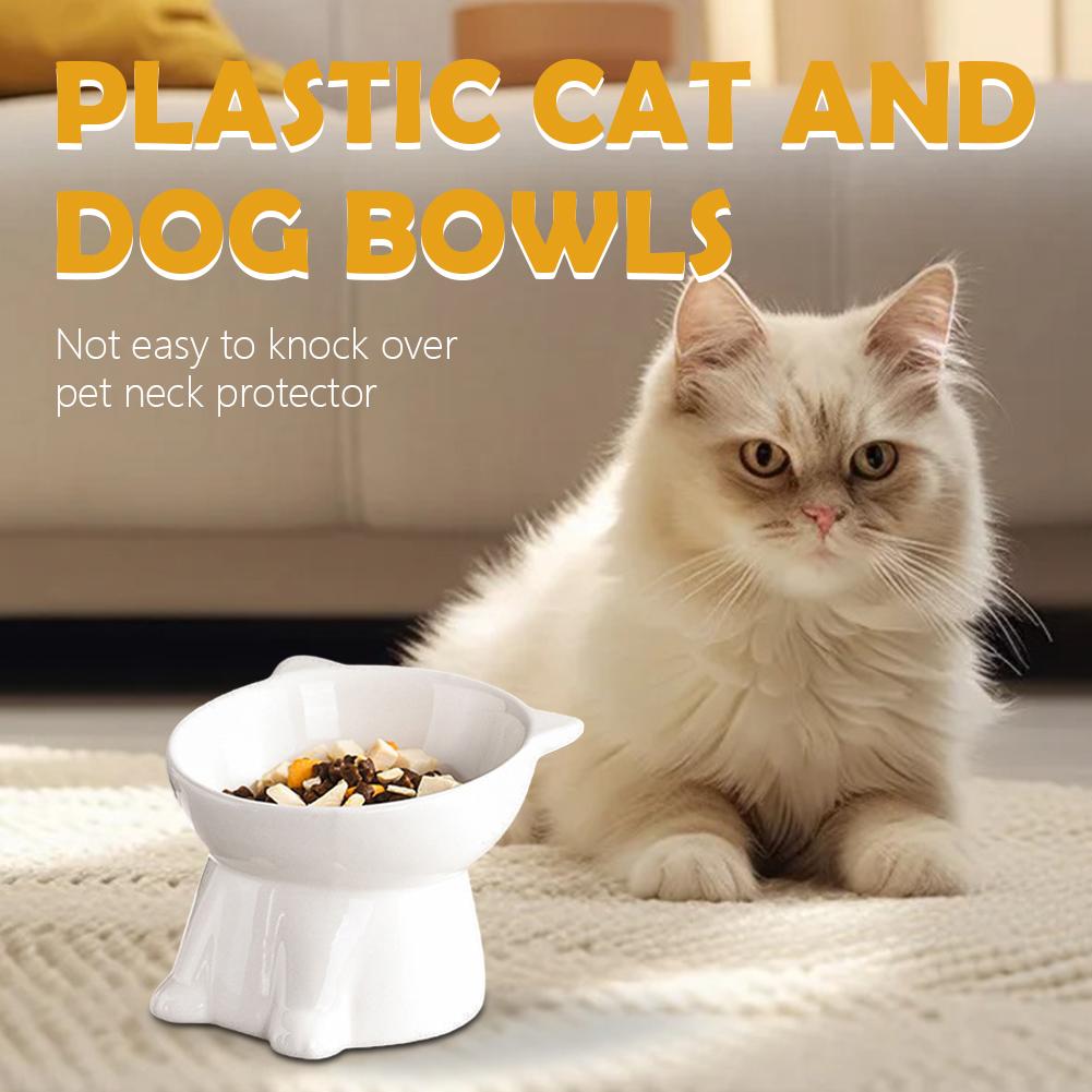 Black Cat Bowl Amazon Plastic  - Pet Supplies Amazon recension och pris
