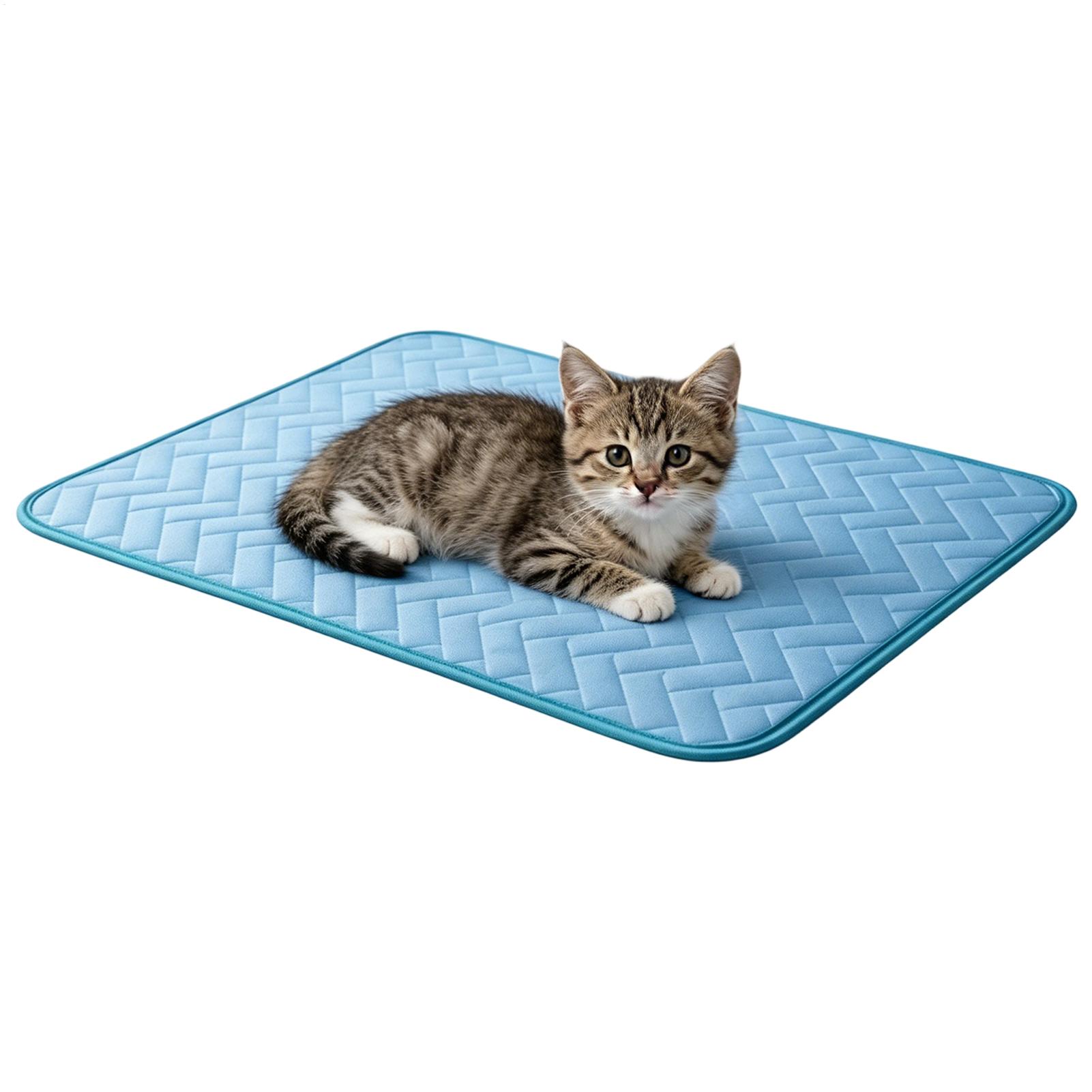 Dog Cooling Mat Pet Kennel Col - Dog Cooling Mat recension och pris