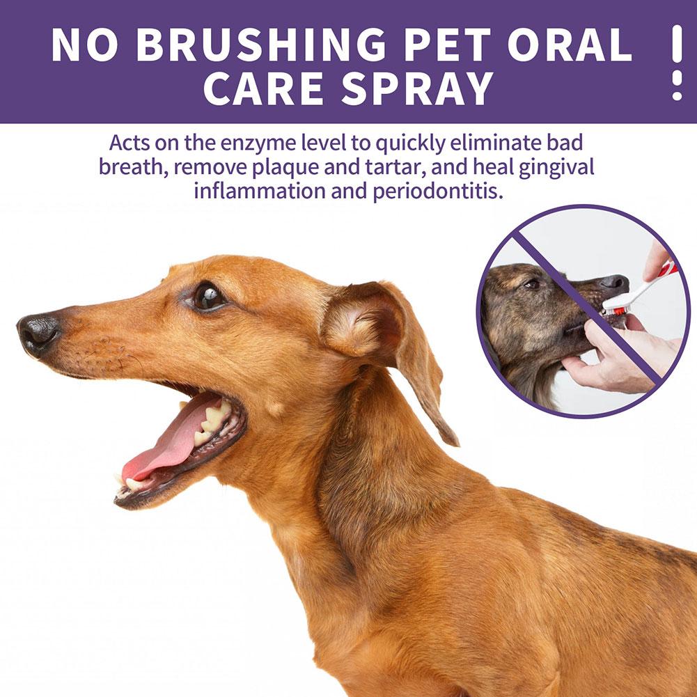 Pet Oral Cleaning Spray Dogs C - Pet Supplies Vending Machine recension och pris