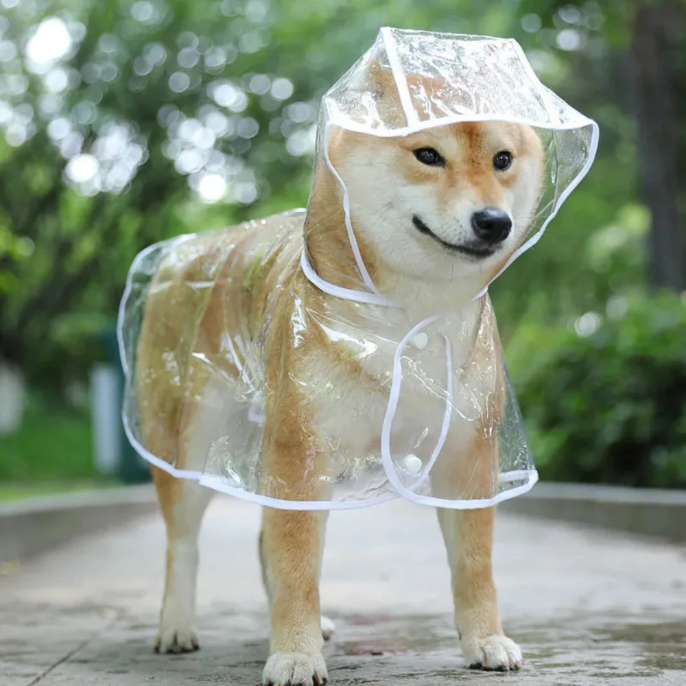 Dog Raincoat Puppy Transparent - Dog Raincoat recension och pris