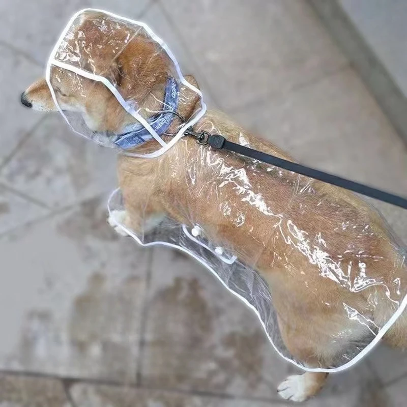 Dog Raincoat Puppy Transparent - Dog Raincoat recension och pris