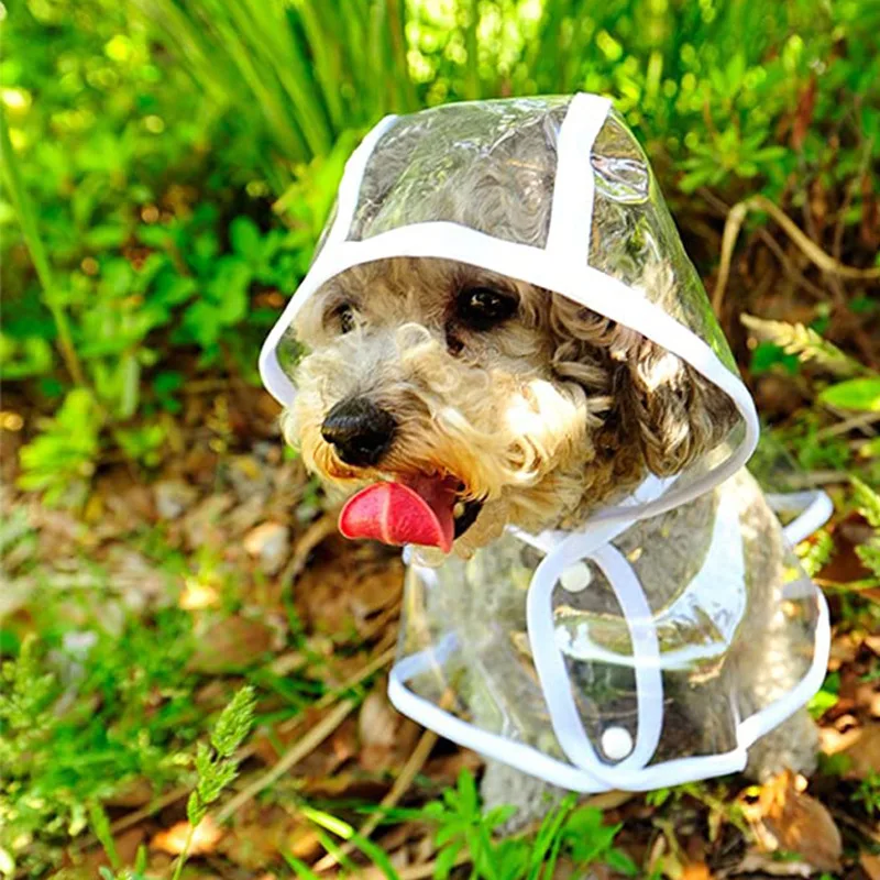 Dog Raincoat Puppy Transparent - Dog Raincoat recension och pris