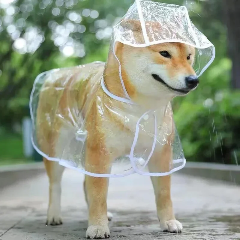 Dog Raincoat Puppy Transparent - Dog Raincoat recension och pris