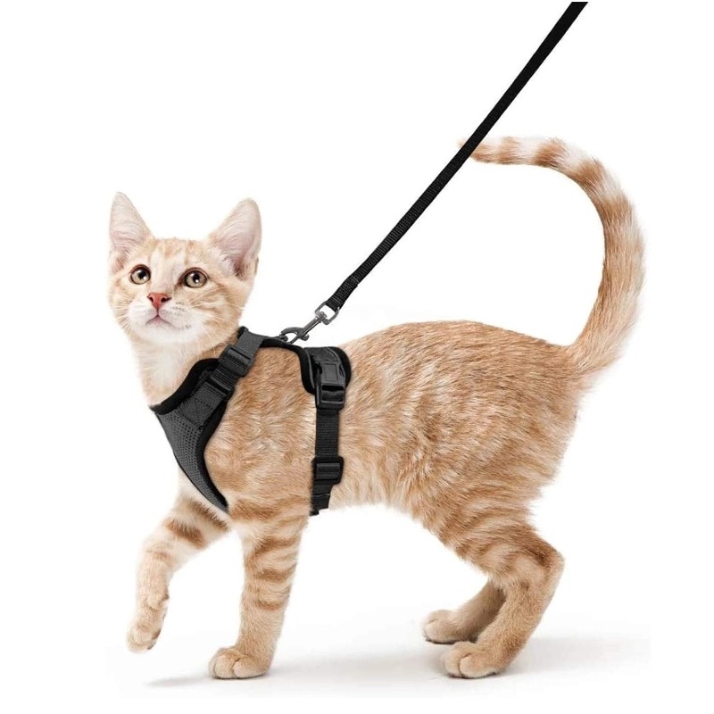 Amazon pet chest strap cat ref - Pet Supplies Amazon recension och pris