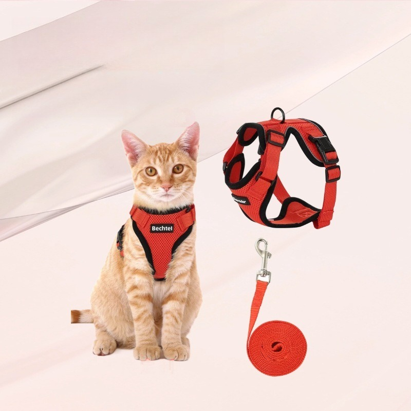 Amazon pet chest strap cat ref - Pet Supplies Amazon recension och pris