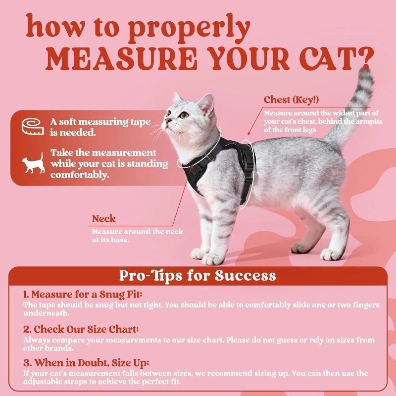 Amazon pet chest strap cat ref - Pet Supplies Amazon recension och pris