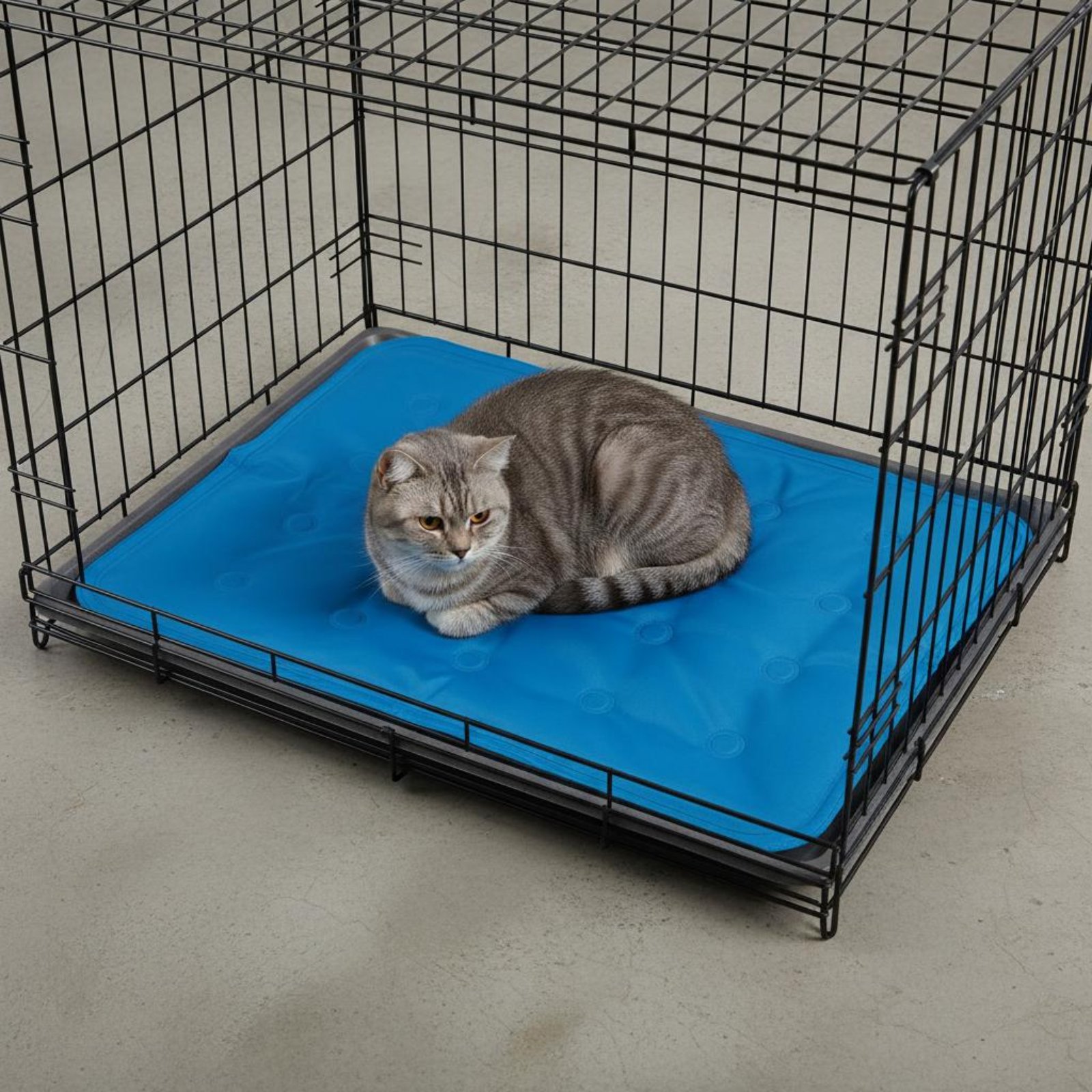 Pet Cooling Mat Gel Cooling Pa - Dog Cooling Mat recension och pris