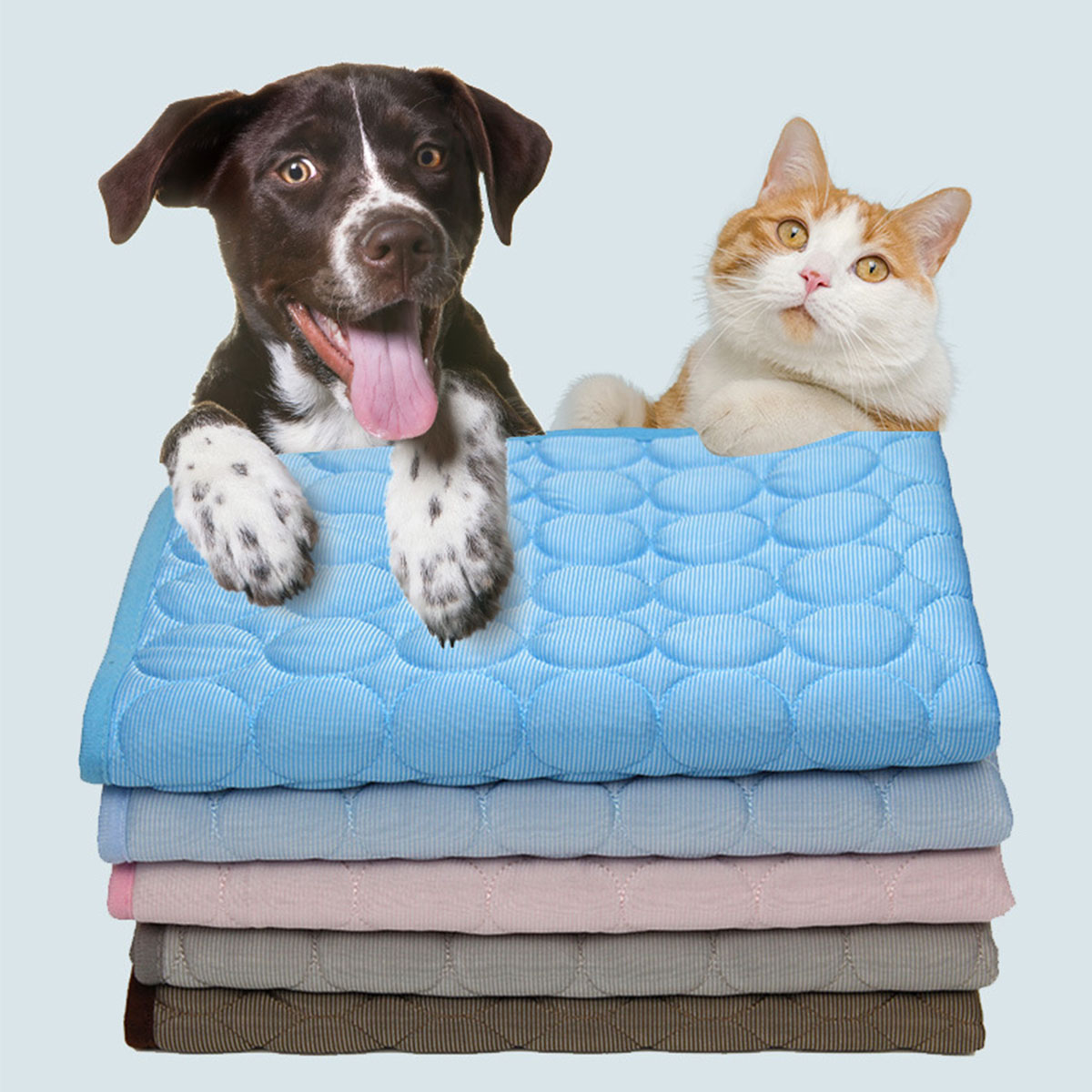 Pet Ice Mats Summer Cat Dog So - Dog Cooling Mat recension och pris