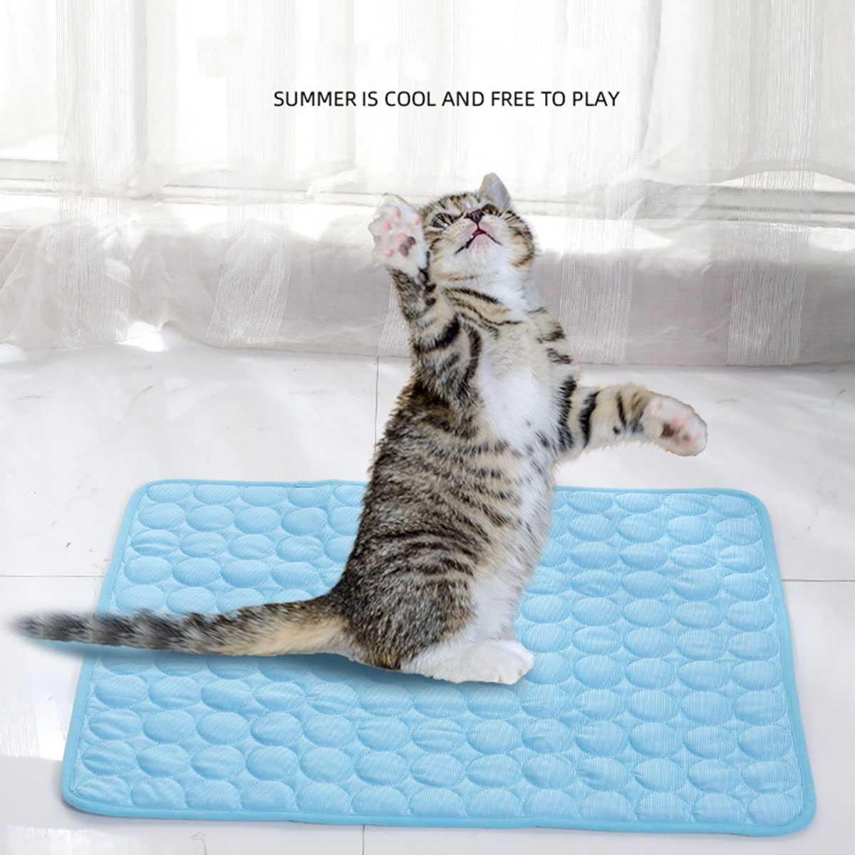 Pet Ice Mats Summer Cat Dog So - Dog Cooling Mat recension och pris