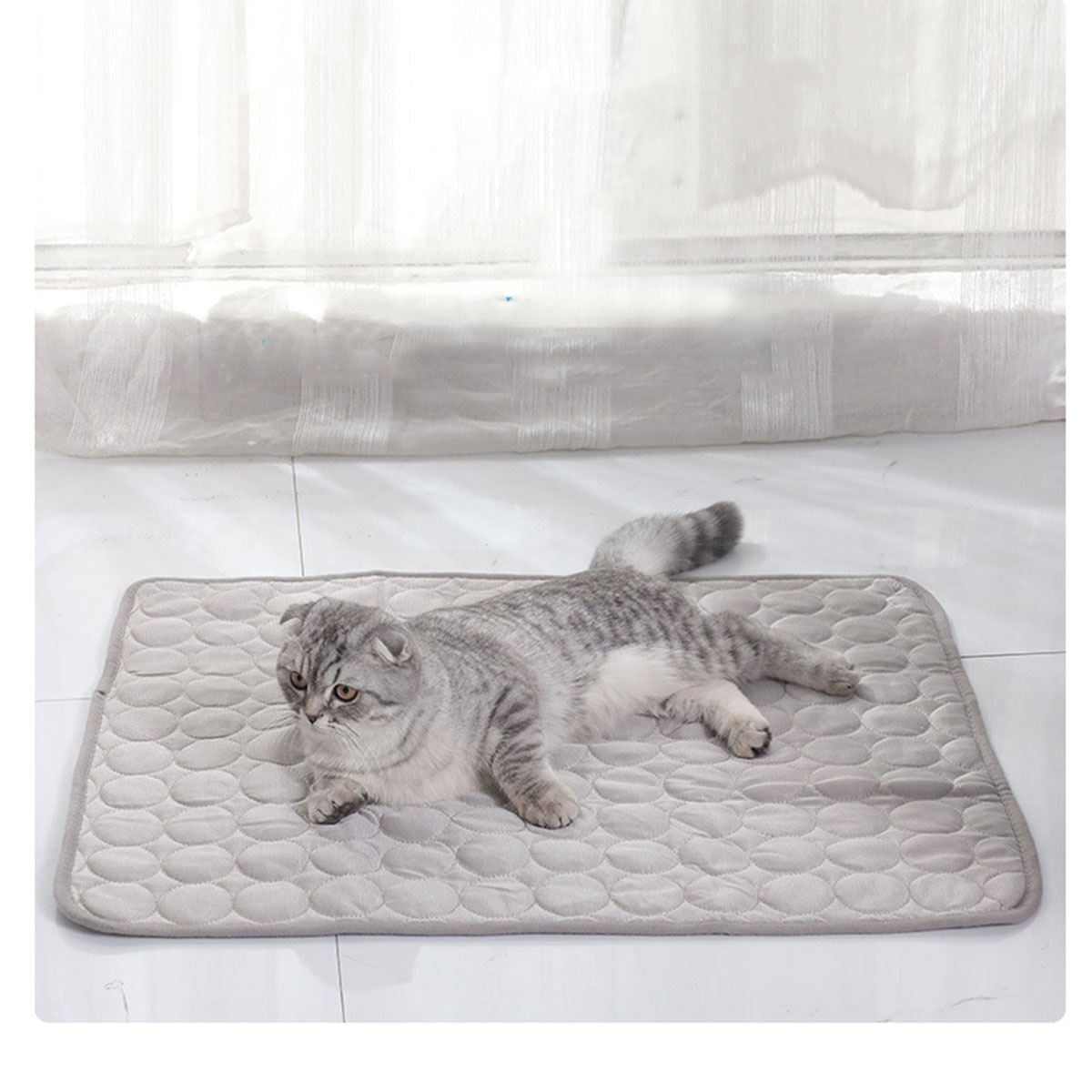 Pet Ice Mats Summer Cat Dog So - Dog Cooling Mat recension och pris