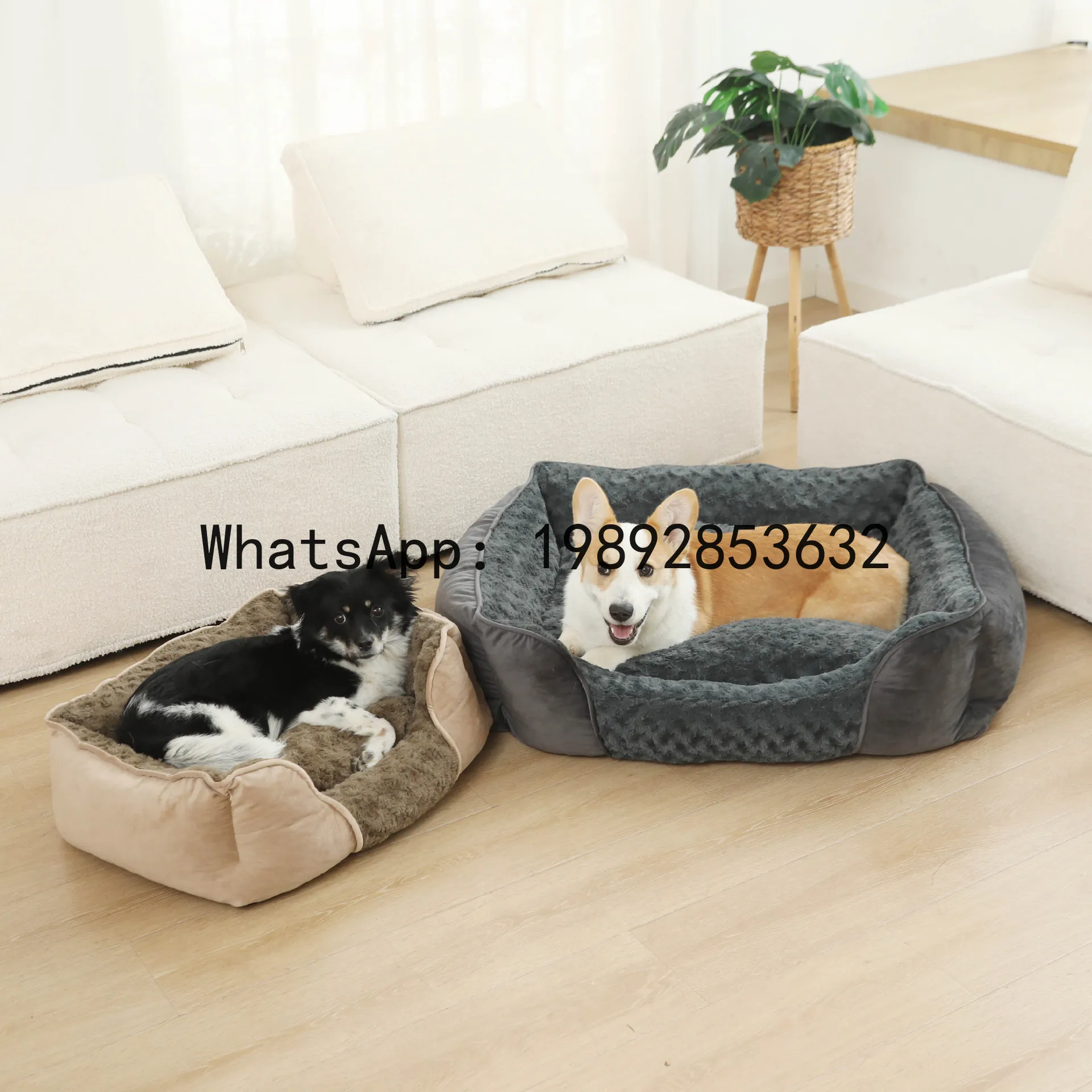 X cat house semi-enclosed dog  - Pet X Supplies & Tack Reviews recension och pris