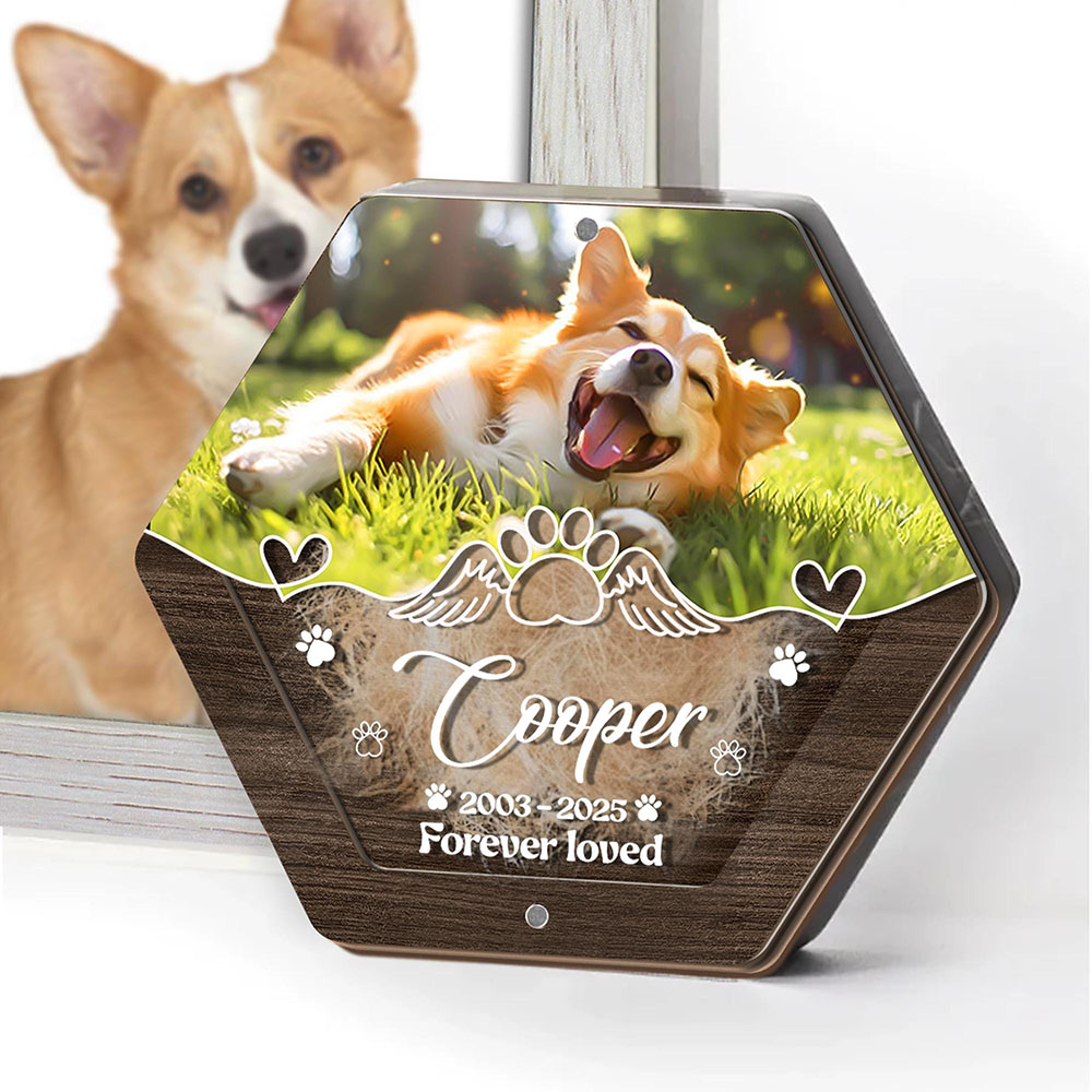 Personalized Name Wooden Carvi - Pet Supplies Vending Machine recension och pris