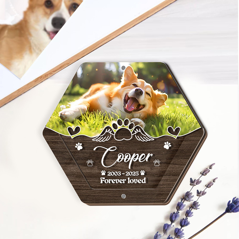 Personalized Name Wooden Carvi - Pet Supplies Vending Machine recension och pris