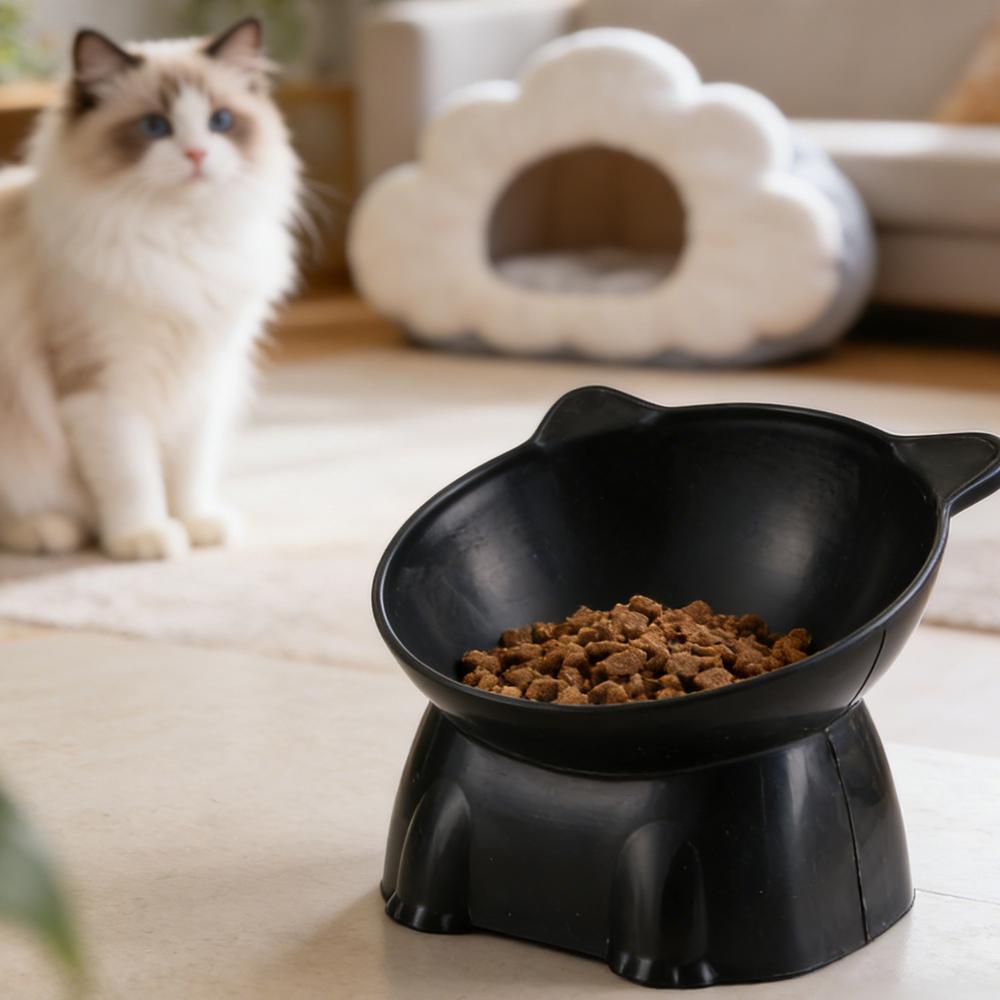 Black Cat Bowl Amazon Ceramic  - Pet Supplies Amazon recension och pris