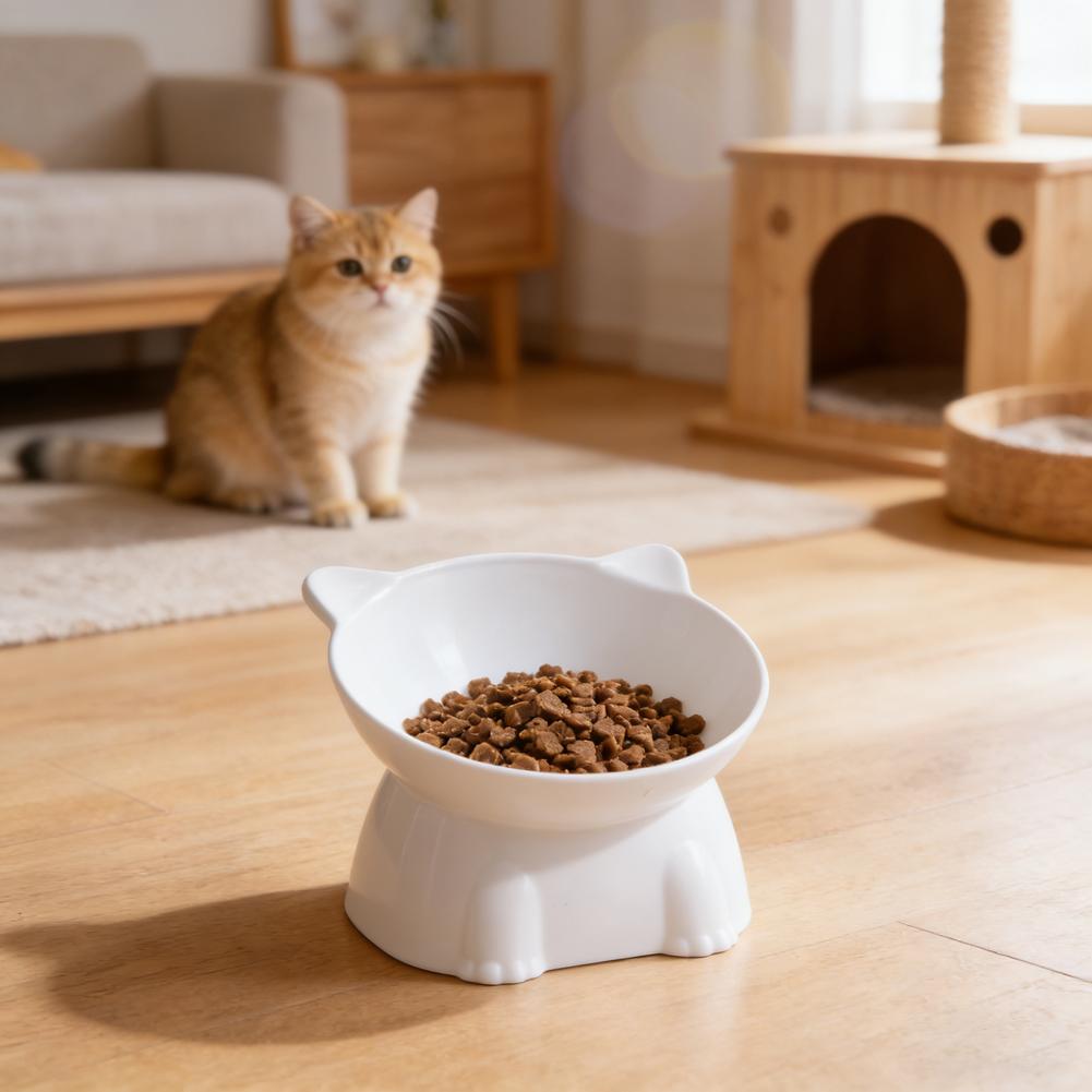 Black Cat Bowl Amazon Ceramic  - Pet Supplies Amazon recension och pris