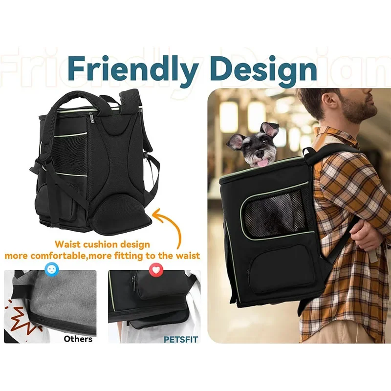 FurStarPremium Cross-border Am - Pet Supplies Amazon recension och pris