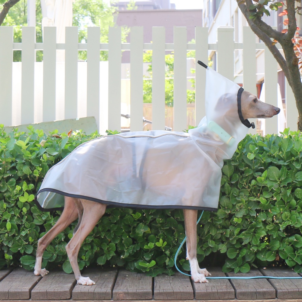 Waterproof Rainproof Windproof - Dog Raincoat recension och pris
