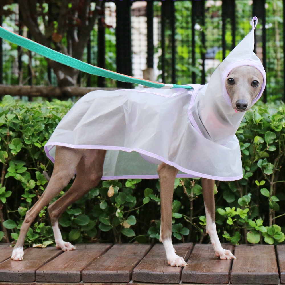 Waterproof Rainproof Windproof - Dog Raincoat recension och pris