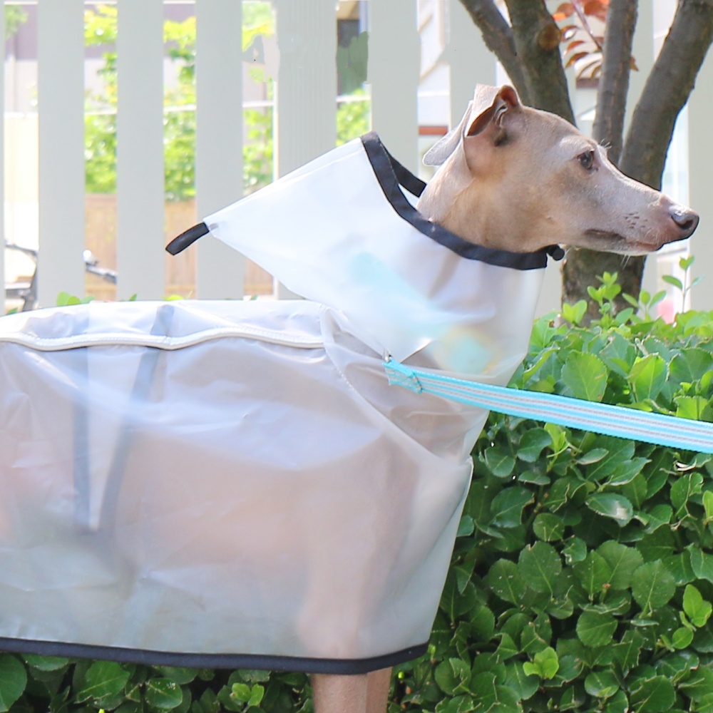Waterproof Rainproof Windproof - Dog Raincoat recension och pris