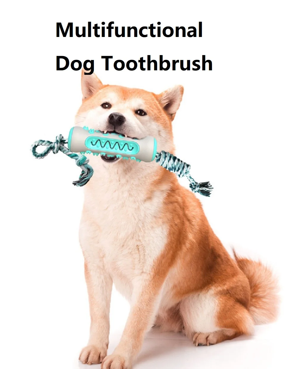 Pet Supplies Amazon Pop Dog To - Pet Supplies Amazon recension och pris