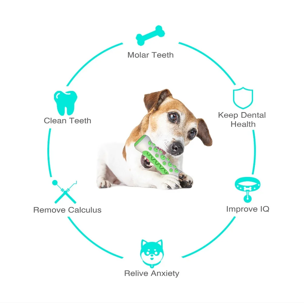 Pet Supplies Amazon Pop Dog To - Pet Supplies Amazon recension och pris