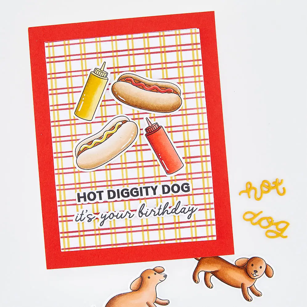 Hot Diggity Dog Squeeze Bottle - Dog Raincoat recension och pris