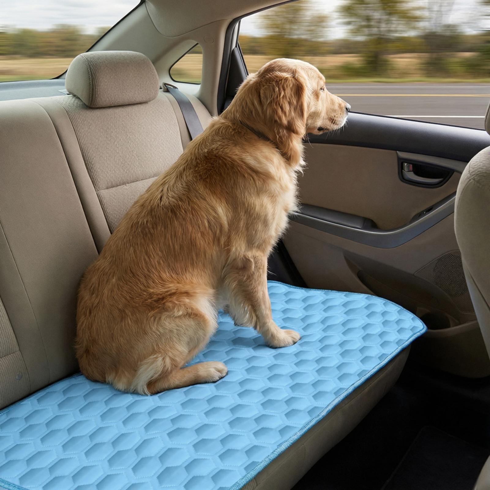 Cooling Mat For Dogs Chew-Resi - Dog Cooling Mat recension och pris