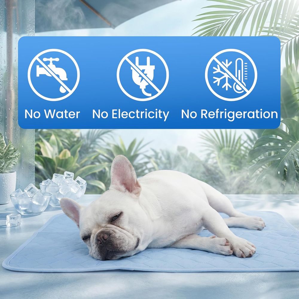Cooling Pad for Small Dogs, Pu - Dog Cooling Mat recension och pris