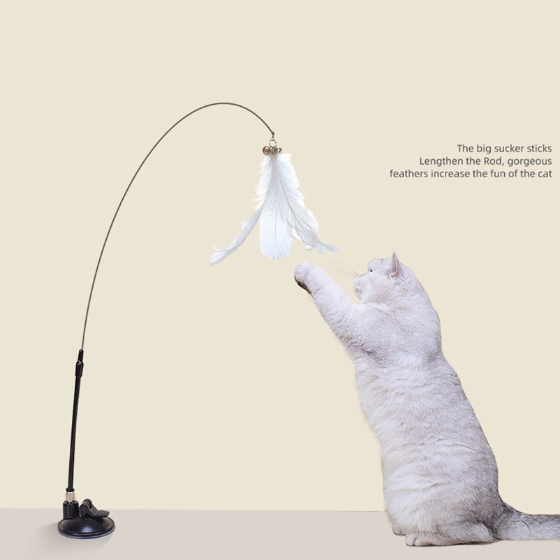 New powerful suction cat-teasi - Pet Supplies Amazon recension och pris