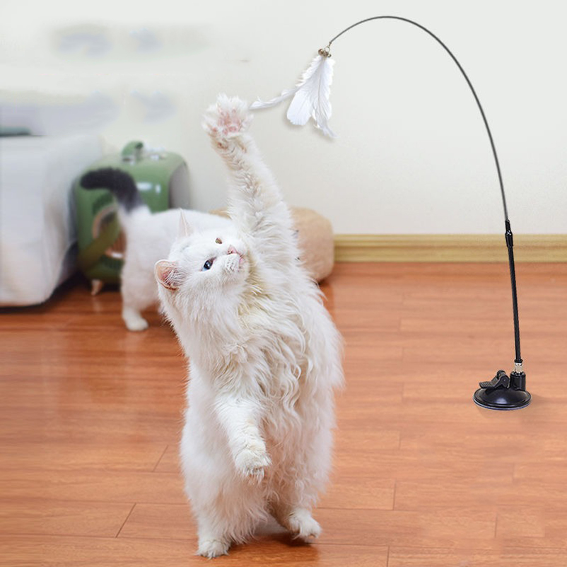 New powerful suction cat-teasi - Pet Supplies Amazon recension och pris