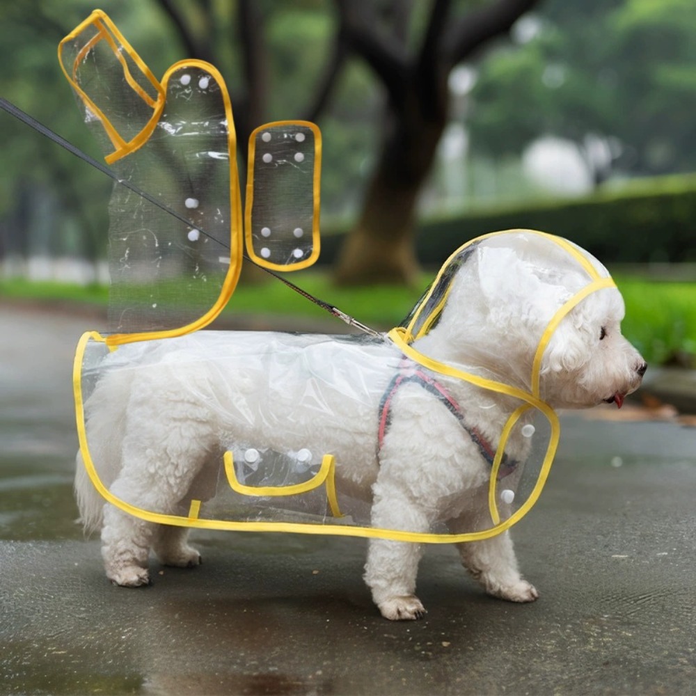 Dog Raincoat Transparent Whole - Dog Raincoat recension och pris