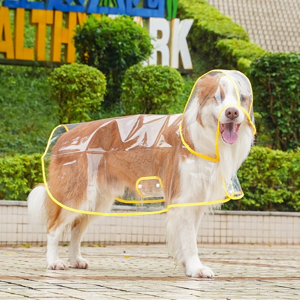 Dog Raincoat Transparent Whole - Dog Raincoat recension och pris