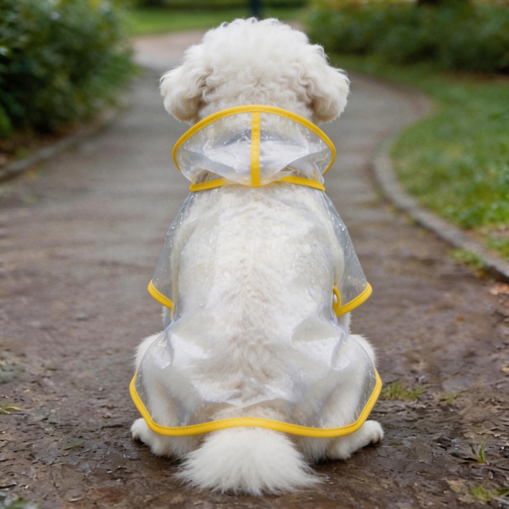 Dog Raincoat Transparent Whole - Dog Raincoat recension och pris