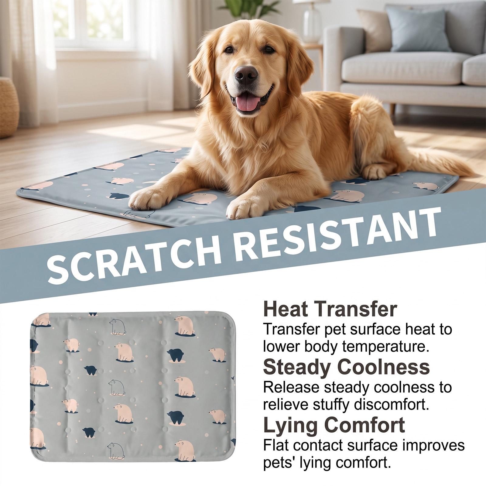 Dog Cooling Mat 15.8x11.8 Inch - Dog Cooling Mat recension och pris