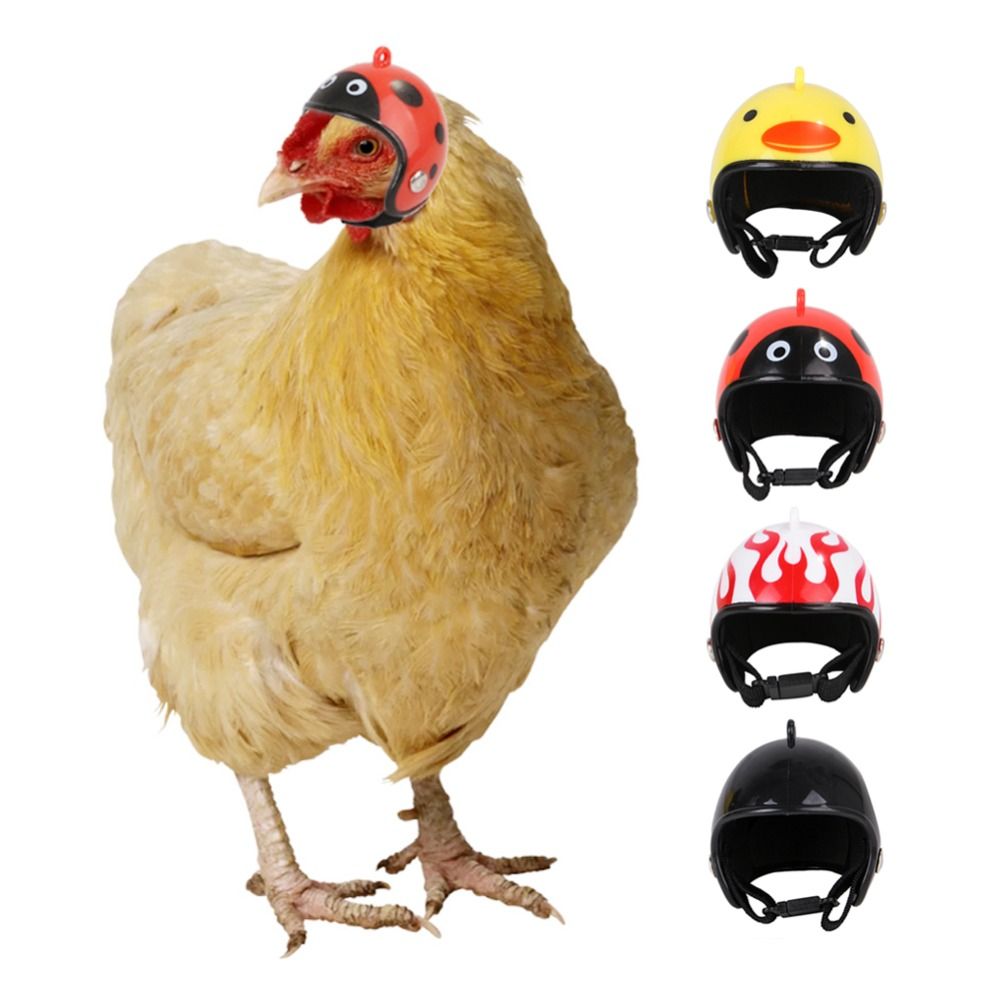 ABS Pet Supplies Funny Pet Pro - Pet X Supplies & Tack Reviews recension och pris