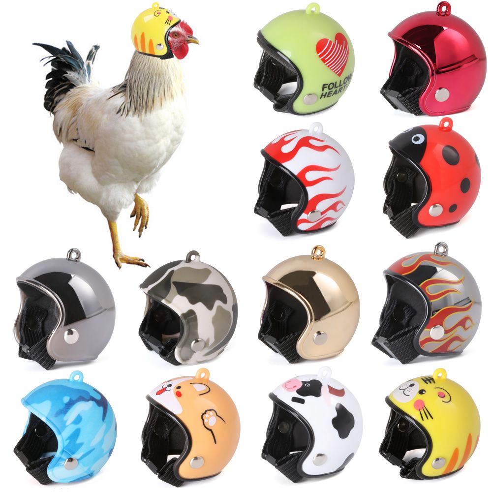 ABS Pet Supplies Funny Pet Pro - Pet X Supplies & Tack Reviews recension och pris