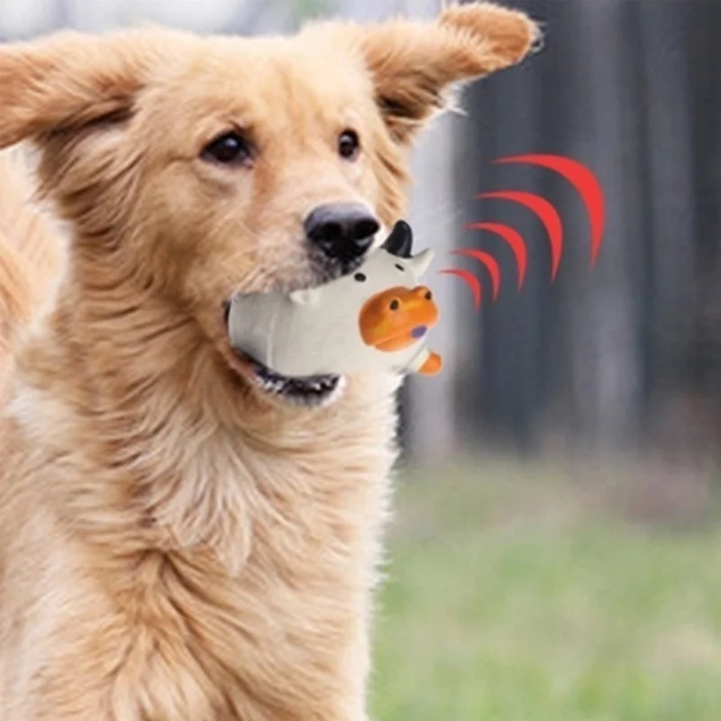 Pet Supplies Amazon Bestseller - Pet Supplies Amazon recension och pris