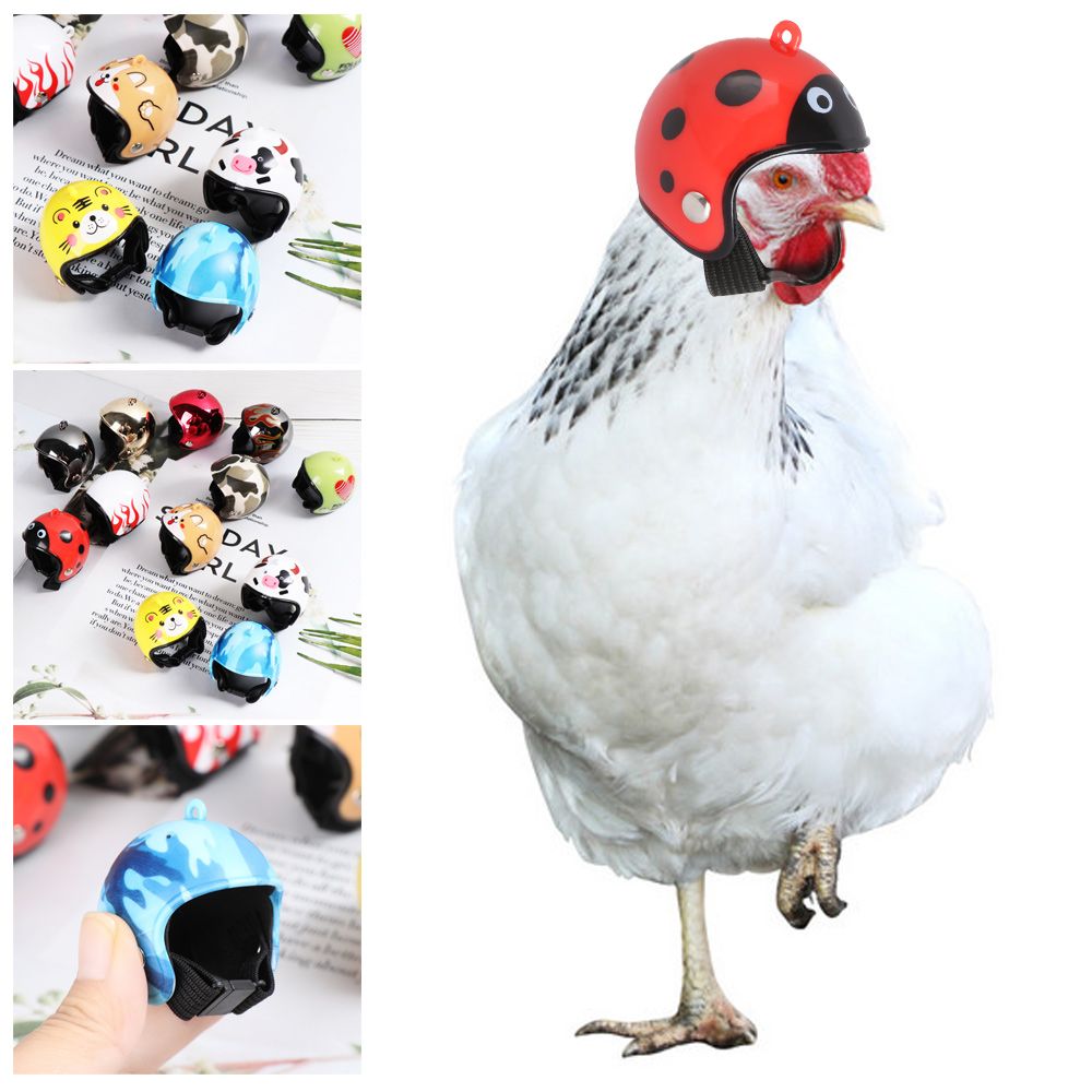 ABS Funny Pet Supplies Pet Pro - Pet X Supplies & Tack Reviews recension och pris