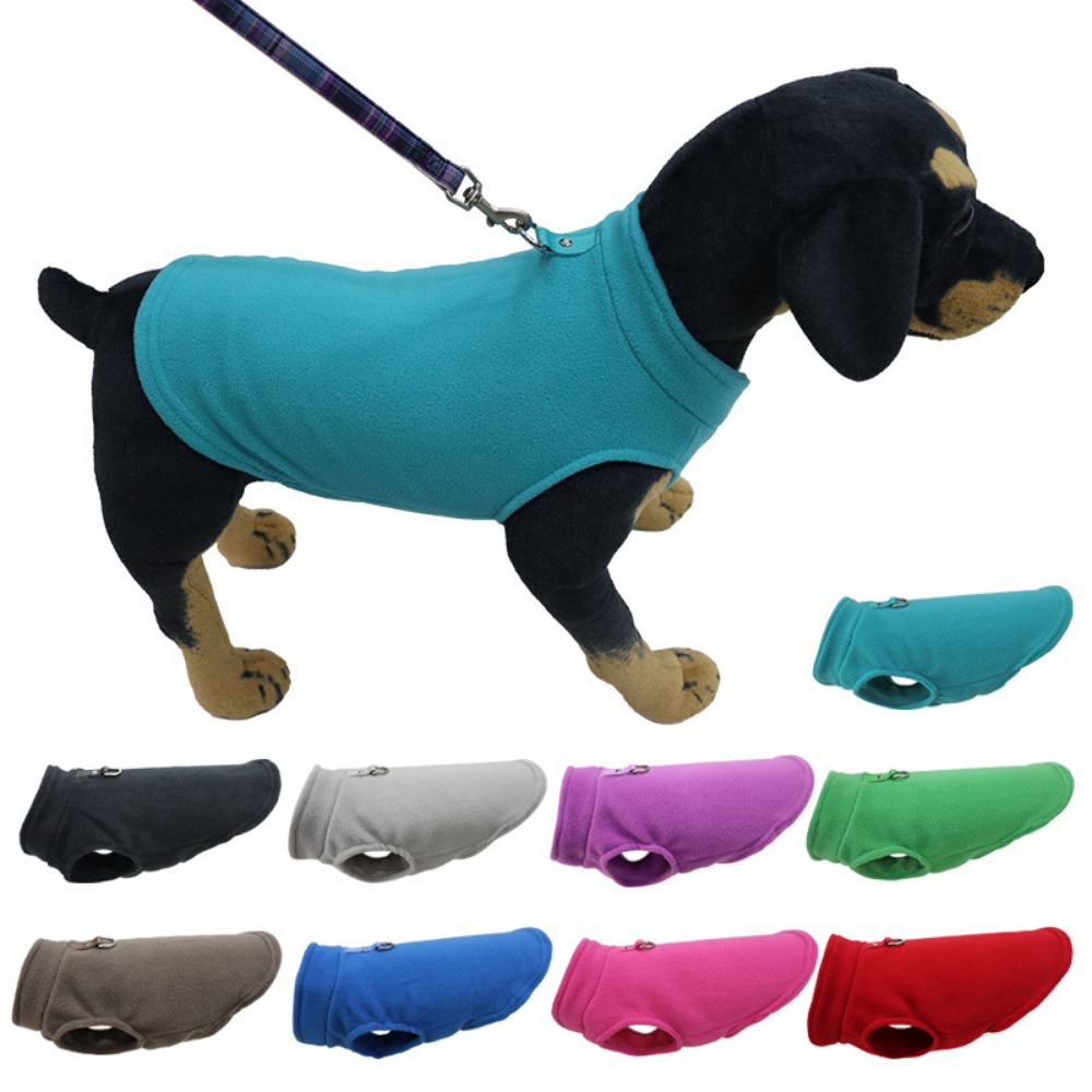 Europe, America, Amazon pet cl - Pet Supplies Amazon recension och pris