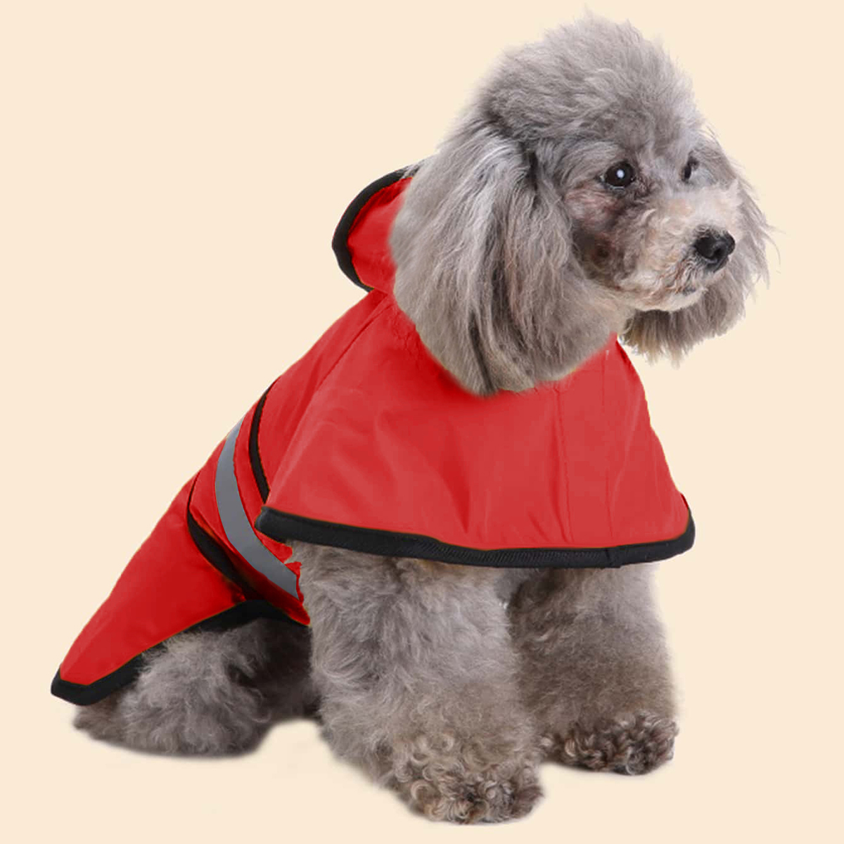 Spring Summer Waterproof Refle - Dog Raincoat recension och pris