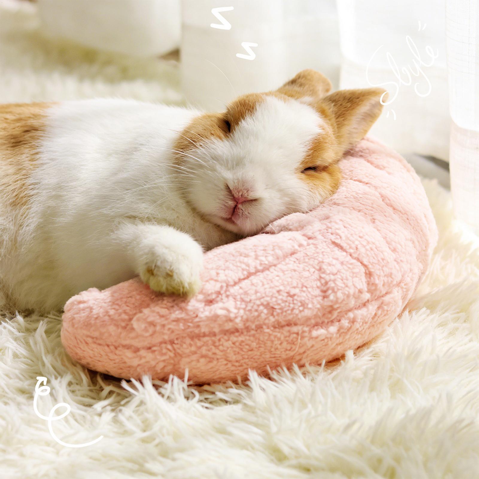 Pet Little Pillow Fashion Neck - Pet Supplies Vending Machine recension och pris